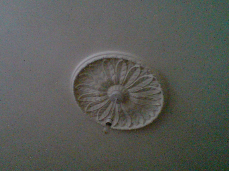Bestand:Ceiling rose (2346719941).jpg