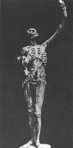 Het gebeeldhouwde, half ontvleesde skelet van René van Chalôn (‘Le Squelette’). Het grafmonument bevindt zich in de Sint Pieterskerk te Bar-le-Duc. De afbeelding toont overigens een model, dat zich in het Musée de l'Homme te Parijs bevindt. In de opgeheven hand een kristallen bol, waarin zich het prinselijk hart bevond.