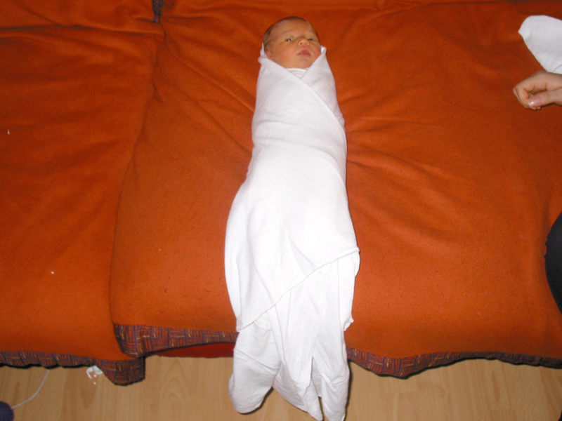 Bestand:Baby-kokon10.jpg