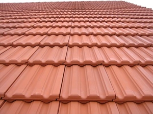 Bestand:Dakpan 324 muldenpan.jpg