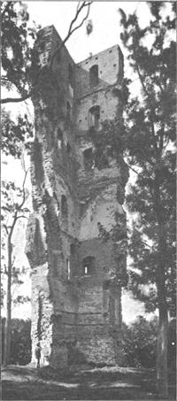 Inwendig der ruïne van den toren van het kasteel Strijen.