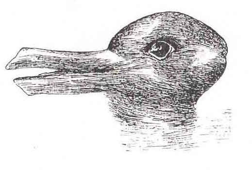 Bestand:Duck-Rabbit illusion.jpg