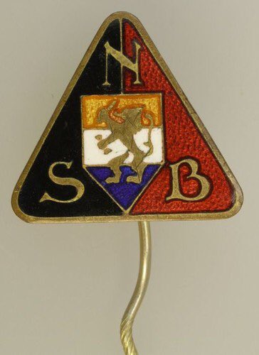 NSB-pin.jpg