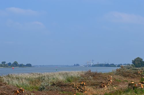 Bestand:Nieuwe Merwede Havens.jpg