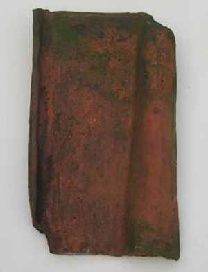 Bestand:Dakpan 496 pegon pan.jpg