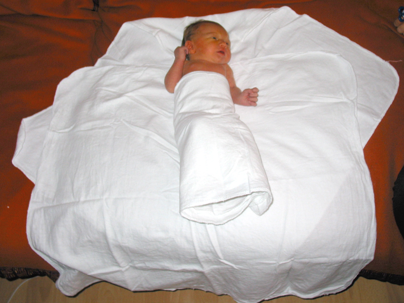Bestand:Baby-kokon06.jpg