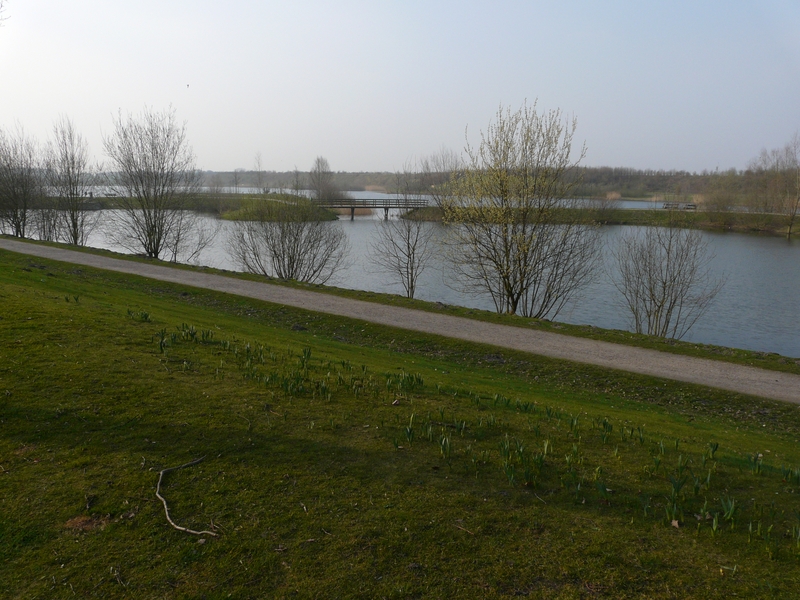 Bestand:Water aan de Warande P1060294.jpg