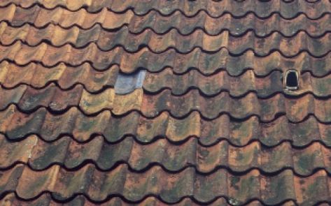 Bestand:Lichtpan 2 kappan en lichtpan.jpg