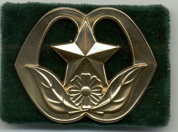 Bestand:Humanistisch Raadsman Baretembleem nieuw model.jpg