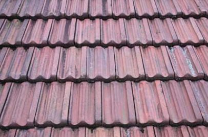 Bestand:Dakpan 330 dubbele mulden pan ludovicus pan.jpg