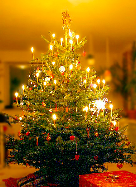 Bestand:Juletræet.jpg