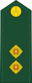 Lieutenant French: Lieutenant (Canadian Army)[22]