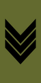 Sersjant (Norwegian Army)[71]