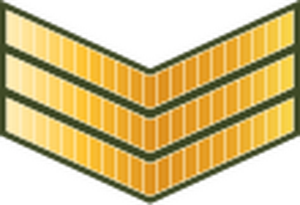 Maldives-Army-OR-5.svg