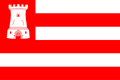 Vlag van Alkmaar