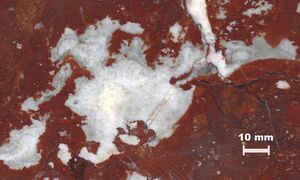 Wallonian limestone, cementation.jpg