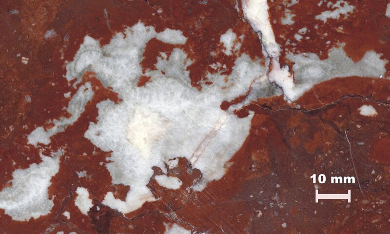 Bestand:Wallonian limestone, cementation.jpg