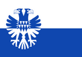 Vlag van Arnhem