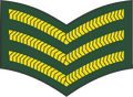 Sergeant (Barbados Regiment)[27]