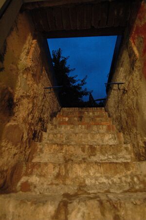 Kelders Keldertrap.jpg