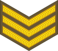 Sergeant (New Zealand Army)[68]