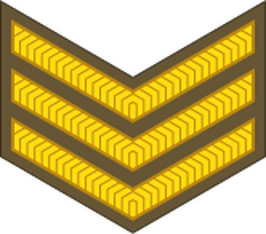 New Zealand-Army-OR-6.svg