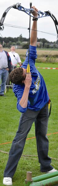 Bestand:Staande wipschutter.jpg