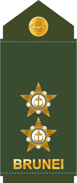 11.RBrLF-1LT.svg