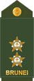 Leftenan (Royal Brunei Land Force)[18]