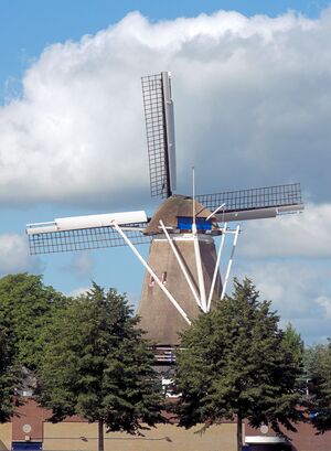 Molen De Koe Ermelo, staartzijde.jpg