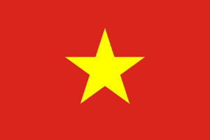 Flag of Vietnam.svg
