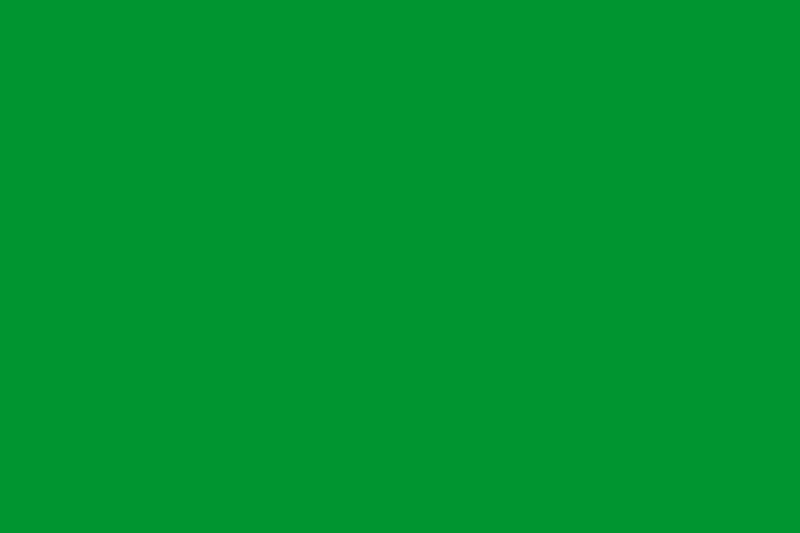Bestand:Rectangular green flag.svg