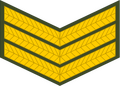 Sergeant (Lesotho Army)[55]