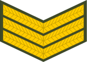 Zimbabwe-Army-OR-6.svg