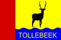Vlag van Tollebeek