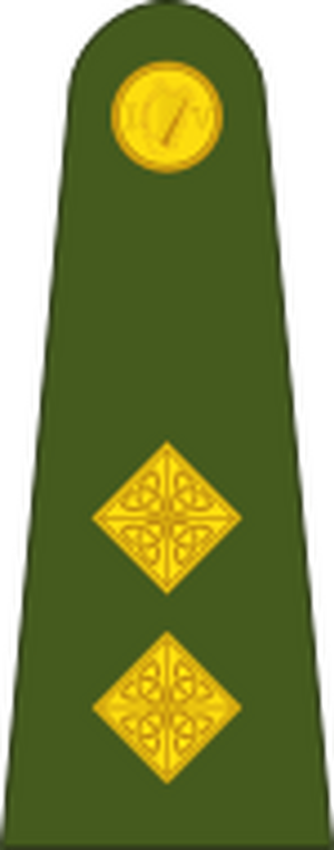 Ireland-Army-OF-1b.svg