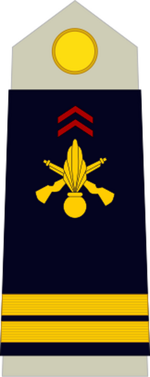 Army-FRA-OF-01a.svg