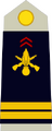 Lieutenant (French Army)[33]