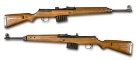 Een gewehr 43