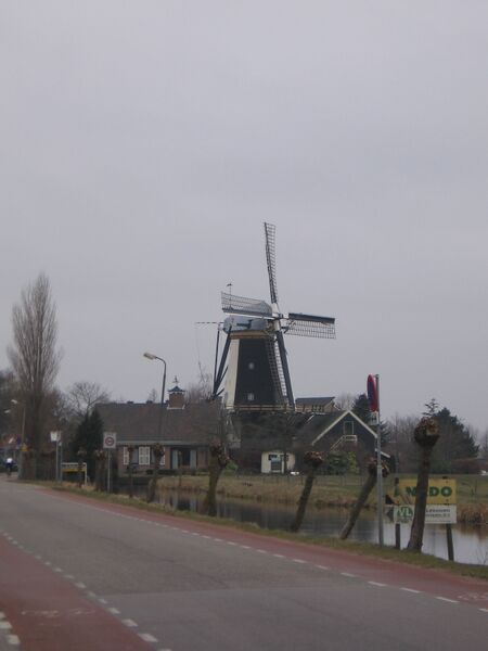Bestand:Rijnwoude 003.jpg