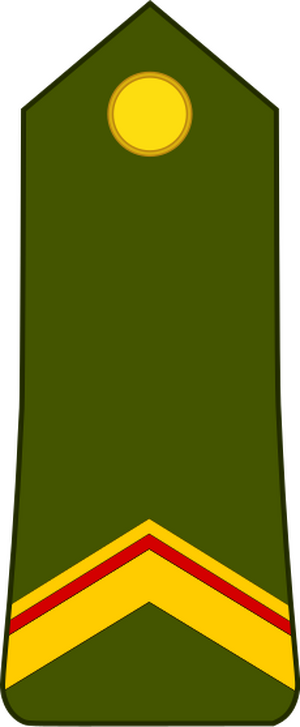 Cameroon-Army-OR-5.svg