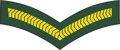 Lance corporal (Barbados Regiment)[24]