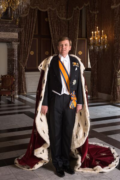 Bestand:Zijne Majesteit Koning Willem-Alexander met koningsmantel april 2013.jpg
