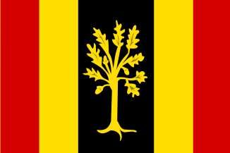 Bestand:Waalwijk vlag.svg