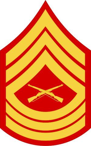 USMC-E8-MSG.svg