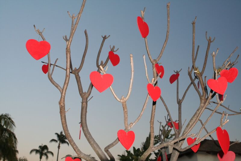 Bestand:Valentinesdaytree.jpg