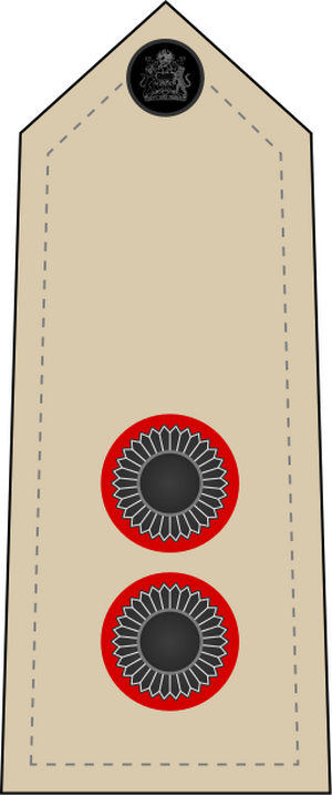 08. Malawi Army - LT.svg