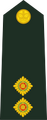 Lieutenant (Fiji Infantry Regiment)