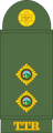 Lieutenant (Trinidad and Tobago Regiment)[80]