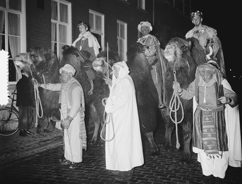 Bestand:Driekoningenoptocht op kamelen door Eindhoven, Bestanddeelnr 906-9241.jpg